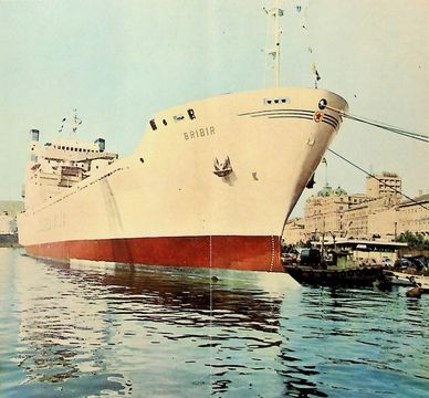 Bribir